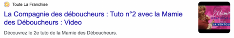 Titre d'un article qui relaie les vidéos des tutoriels de la Mamie des Déboucheurs par Fantastic